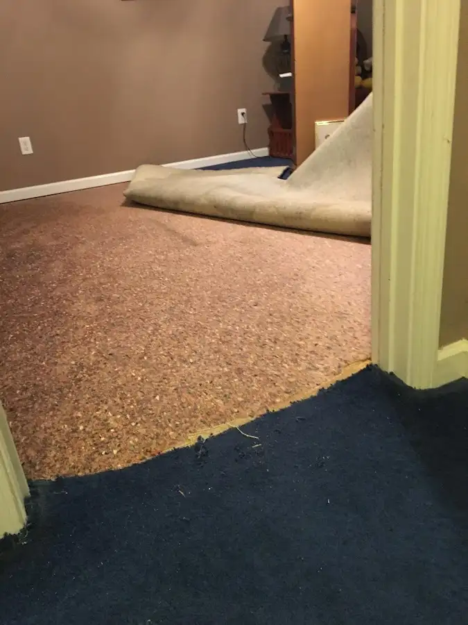 Carpet pad removal revealing water damage during Drying & Dehumidification in Apopka
